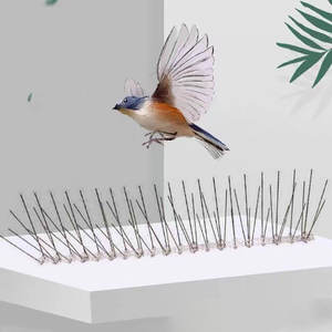 Bandes murales répulsif en gros amélioré en acier inoxydable pigeon <span class=keywords><strong>anti</strong></span> pointes d'oiseaux - Product Image 2