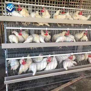 Gabbia a 3 livelli a 96 strati con bevitore di capezzoli sistema automatico di raccolta delle uova vendita calda in Kenya Ghana