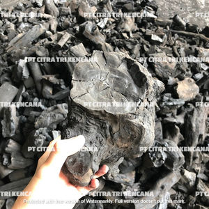 Raymun JORDAN MIDDLE EAST-parrilla para barbacoa, AL-FITR de madera, carbón, EID - Product Image 5