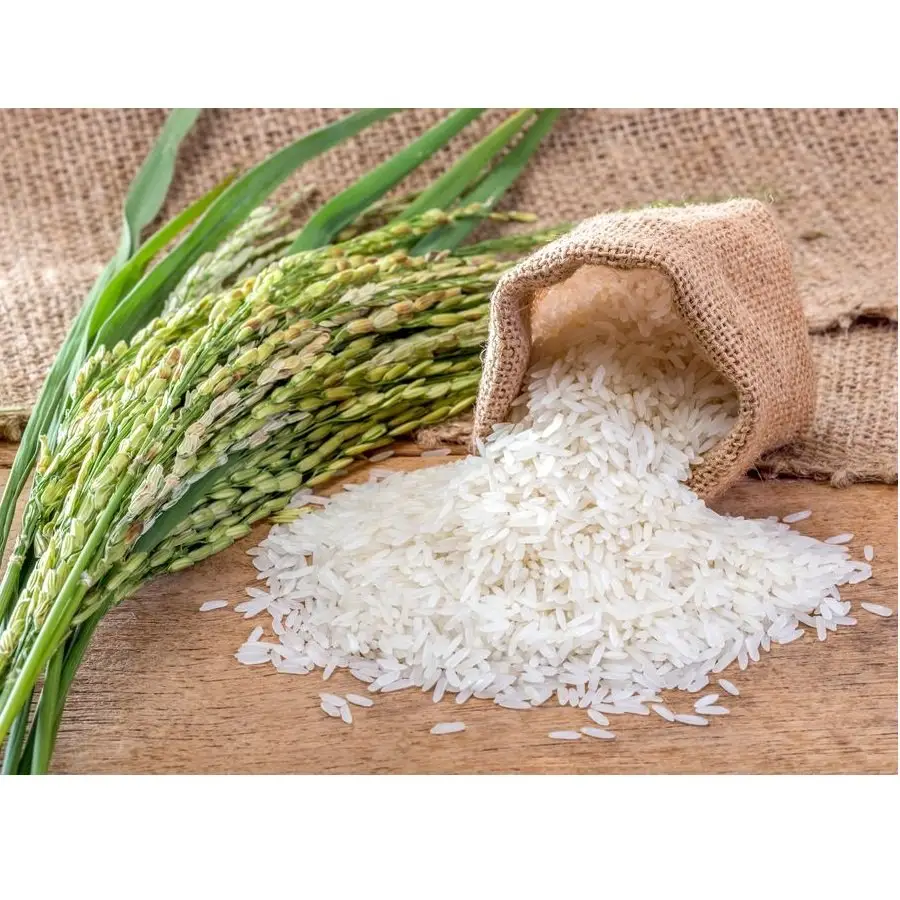 Brown Long Grain 5% Broken White Rice, Indian Long Grain Parboiled Rice, Jasmine Rice Long Grain +84905010988