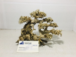 High Quality <b>Glass</b> Aquatic Bonsai Driftwood Eco-Friendly Aquarium Landscape Equipment - Product Image 6