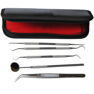 Herramientas dentales de acero inoxidable, Kit de instrumentos dentales, pinzas de acero inoxidable para Universidad, raspador de espejo, escalador de sonda CE, 5 uds. - Product Image 2