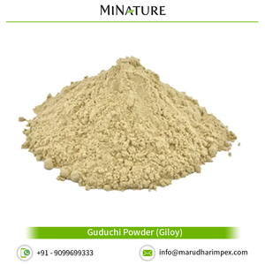 Extracto de Tinospora Cordifolia Orgánico 100% Puro al por Mayor, Polvo de Guduchi (Giloy) - Product Image 2