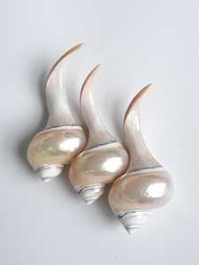 ที่วางตะเกียบธรรมชาติทำมือรูปหอยทากทะเล,ที่ใส่ตะเกียบแฟชั่น - Product Image 2