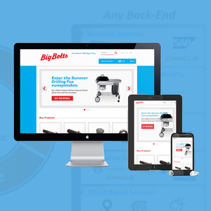 Backend support system Development Company in India | Award Winning Wordpress Design & Development Services by Webroot Infosoft - Product Image 4