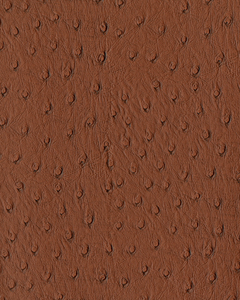 ผ้าหนังสังเคราะห์ที่ทำจากญี่ปุ่นที่มีการออกแบบนกกระจอกเทศซึ่งเป็นที่รักมานานหลายปีเช่นนกกระจอกเทศ - Product Image 6