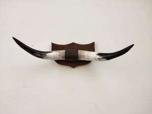 Corne décorative en forme de saucière, 1 pièce, tenue de table intérieur, corne de taureau monté, style marbré, Antique, offre spéciale - Product Image 6