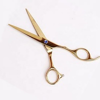 Ensemble de ciseaux professionnels pour salon de coiffure, Kit de ciseaux pour coupe de cheveux