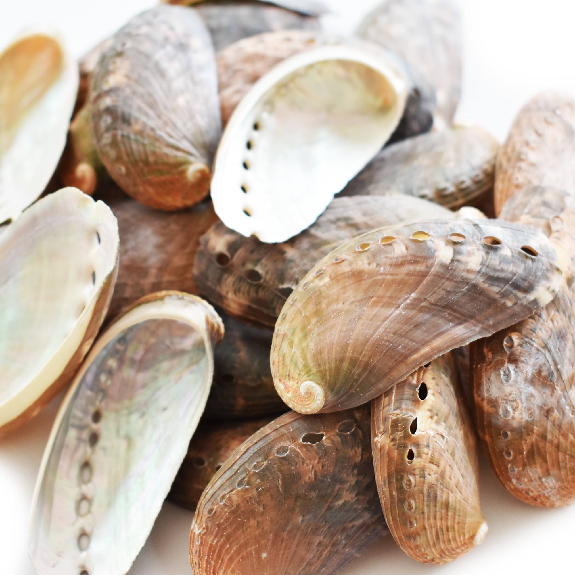 ธรรมชาติ