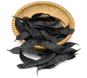 GOMA DE FRIJOL-Fructus secos Gleditschia - Product Image 1