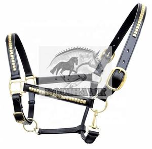 COLLIER DE CHEVAL EN CUIR DE QUALITÉ PREMIUM FABRICANT AVEC REMBOURRAGE EN CUIR SOFTY LAITON CUIR HARDWAR COLLIER DE CHEVAL - Product Image 2