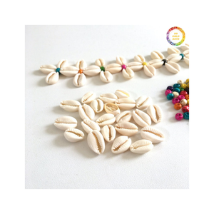 Concha de mar pequeña y grande para decoración y manualidades, 99GD - Product Image 2