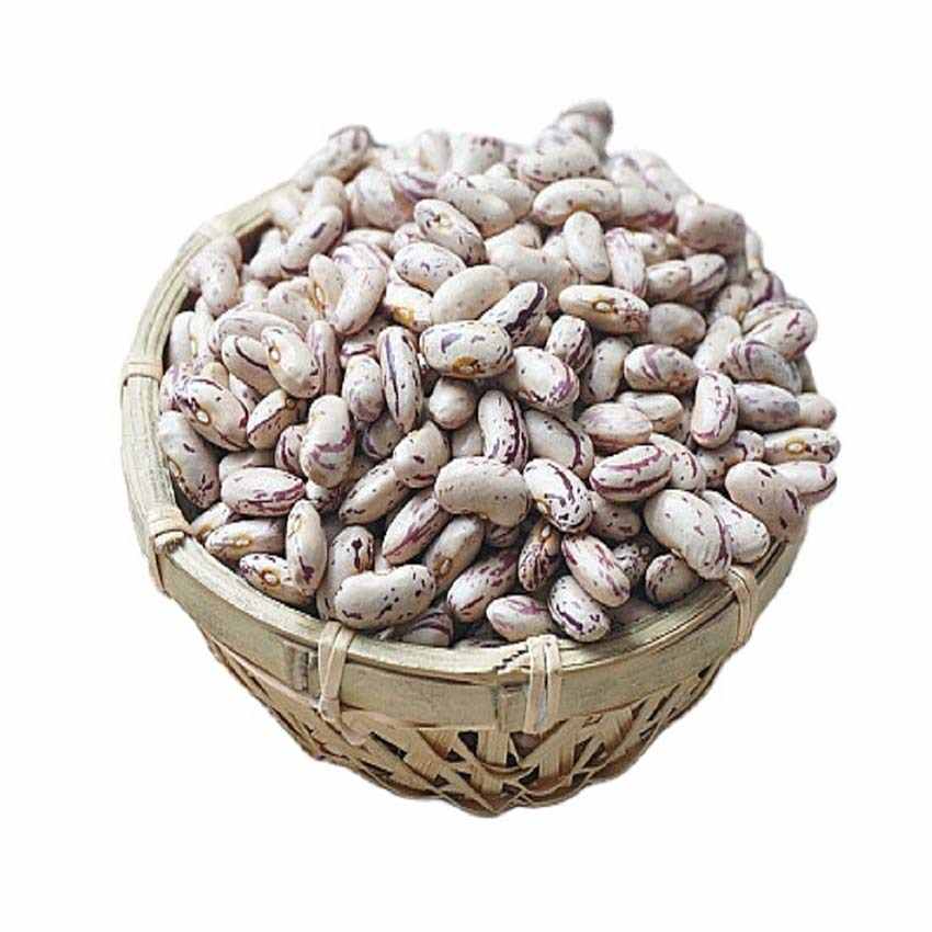 非转基因最优惠价格海军豆小白芸豆