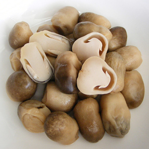SETA de paja sin pelar, seta de paja salada - Product Image 6