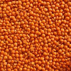 Lentejas rojas de esmalte, alta calidad, directo del proveedor - Product Image 1