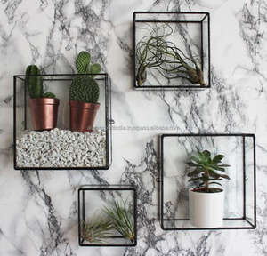 Brass <b>Glass</b> Wall Hanging Display Box for Jewelry and Planter <b>Terrariums</b> - Product Image 3