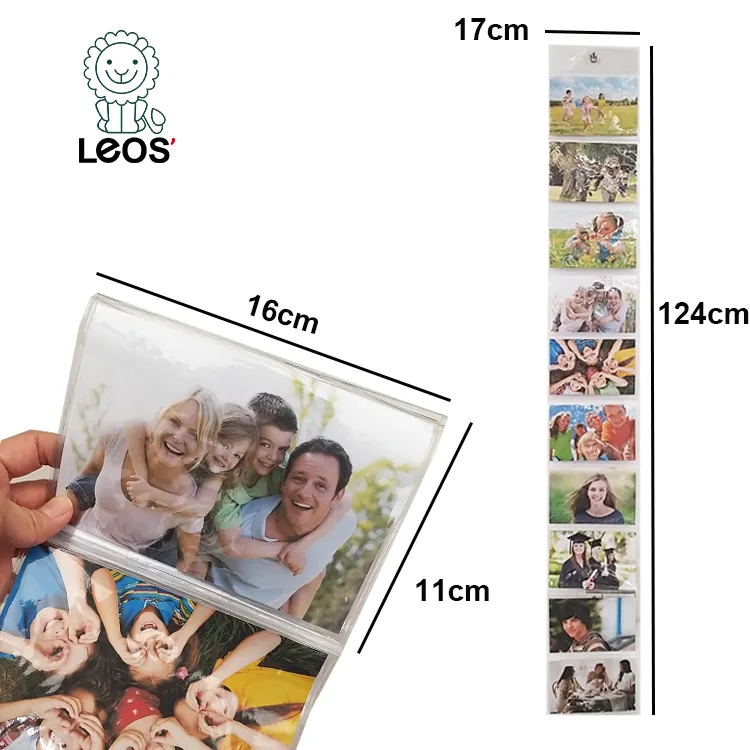 Clear PVC Wall Hanging Photo Pockets Reusable with Pocket Storage Organizer with 10 Pockets