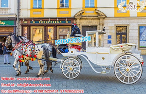 Chariot de randonnée professionnel en forme de cheval, nouveau Type de chariot à roulettes de styliste, - Product Image 6