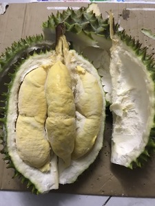 ที่มีคุณภาพสูงแช่แข็งทุเรียนจากเวียดนาม/แช่แข็งทุเรียน2023 - Product Image 3