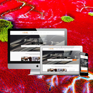 Webroot-empresa de desarrollo de sitio web de una empresa de gestión de trabajo, red de RED para la India para la captación de premios - Product Image 1