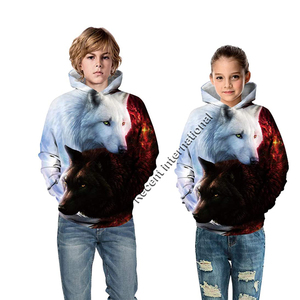 Sweat à capuche pour hommes en coton et polyester, surdimensionné, service OEM échantillon, vente en gros, pull-over brodé, Logo personnalisé, offre spéciale - Product Image 4