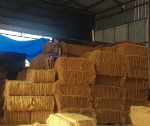 Coco <strong>Fiber</strong> Supplier - Coco <strong>Fiber</strong> Manufacturer Indonesia - Product Image 5