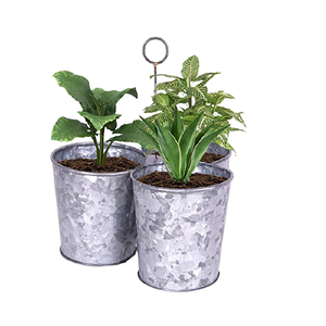 Jardinière de fleurs galvanisée de qualité supérieure faite à la main taille et forme personnalisées à un prix attractif - Product Image 6