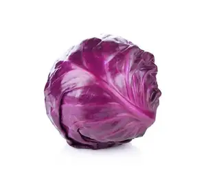 Qualität frischer Rotkohl zum Verkauf in Thailand