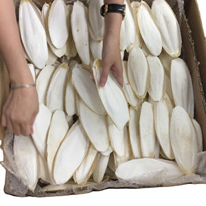 HUESO DE SEPIA SECADO A LA LUZ DEL SOL DE VIETNAM/Sra. Lima - Product Image 3