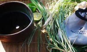 ขายส่งสำหรับ100% ธรรมชาติ Eleusine Gooosegrass ผง - Product Image 4