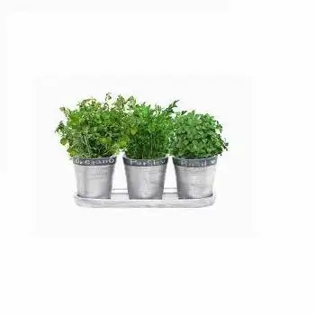 SILVER METAL GARDEN DECORATIVE HERB PLANTER POTS WITH TRAY HOME & GARDEN HERB POT LOW PRICE HERB POTS