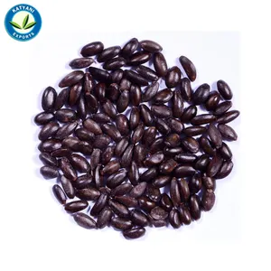 100% Pure Organic Custard Apple Seed Essential Oil for Skin Hair and <b>Pest</b> <b>Control</b> Private Label Bulk Supply Made in India - Product Image 1