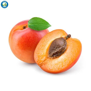 100% Pure huile de noyau d'abricot pressée à froid pour la peau, les cheveux et le massage fournisseur en vrac, bio, prix de gros - Product Image 1