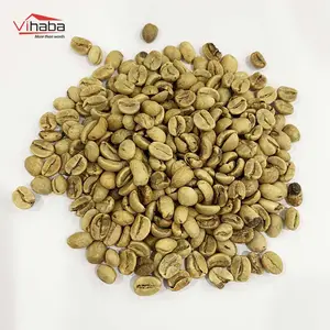 Luwak Kopi 새로운 작물 Robusta 커피 콩 판매 블랙 커피 볶은 커피 콩