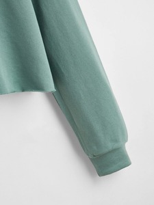 Nouvelle Arrivée Hiver Sweat-shirts à Capuche Femme Coupe Haute Personnalisés en Molleton Bouclette Épais Imprimé Sérigraphié 100% Coton Pas Cher - Product Image 2