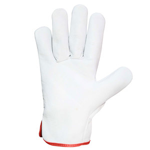 Gants pour conducteur de haute qualité, 100 pièces, prix Direct d'usine - Product Image 2