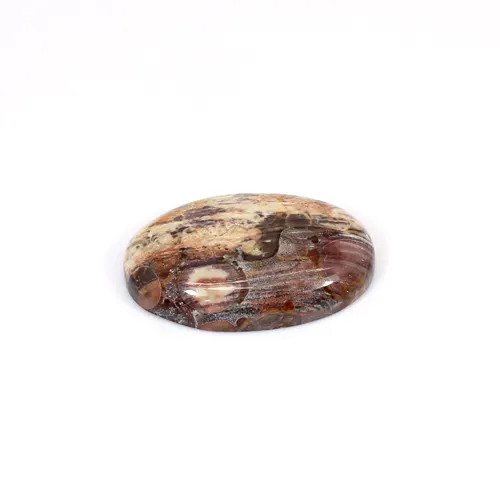 Natuurlijke Vogel Eye Jasper Ovale Cabochon 27X17Mm 19.55 Cts Losse Handgemaakte Edelsteen