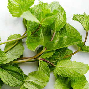 Huile essentielle de menthe poivrée biologique de haute qualité, pure, distillée à la vapeur à partir de feuilles de menthe poivrée, certifiée GMP - Product Image 1