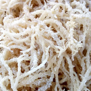 Alga Marina Seca de Alta Nutrición de Vietnam, Empacada en Bolsas - WhatsApp +84 987 670462 - Product Image 1