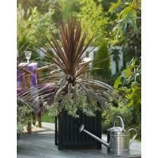 Macetero de metal para plantas y flores de interior, decoración para sala de estar, hogar, terraza, balcón y jardinería, superventas - Product Image 6