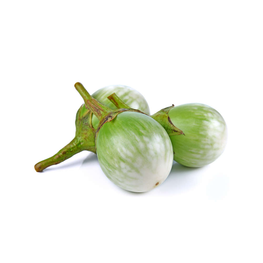 premium quality of egg plant