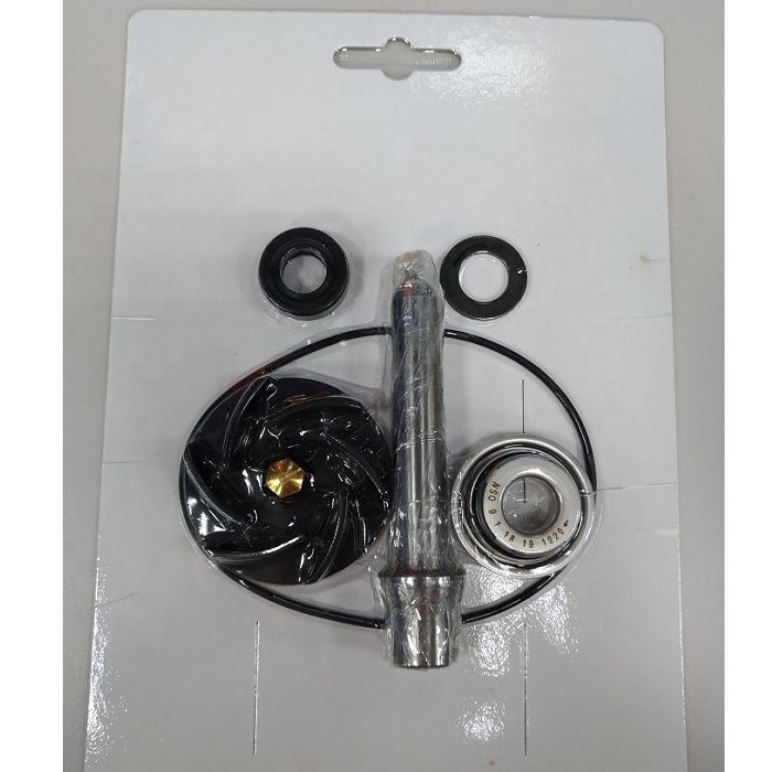 KIT REVISIONE POMPA ACQUA RMS PIAGGIO BEVERLY TOURER EURO3 250 2007-2009