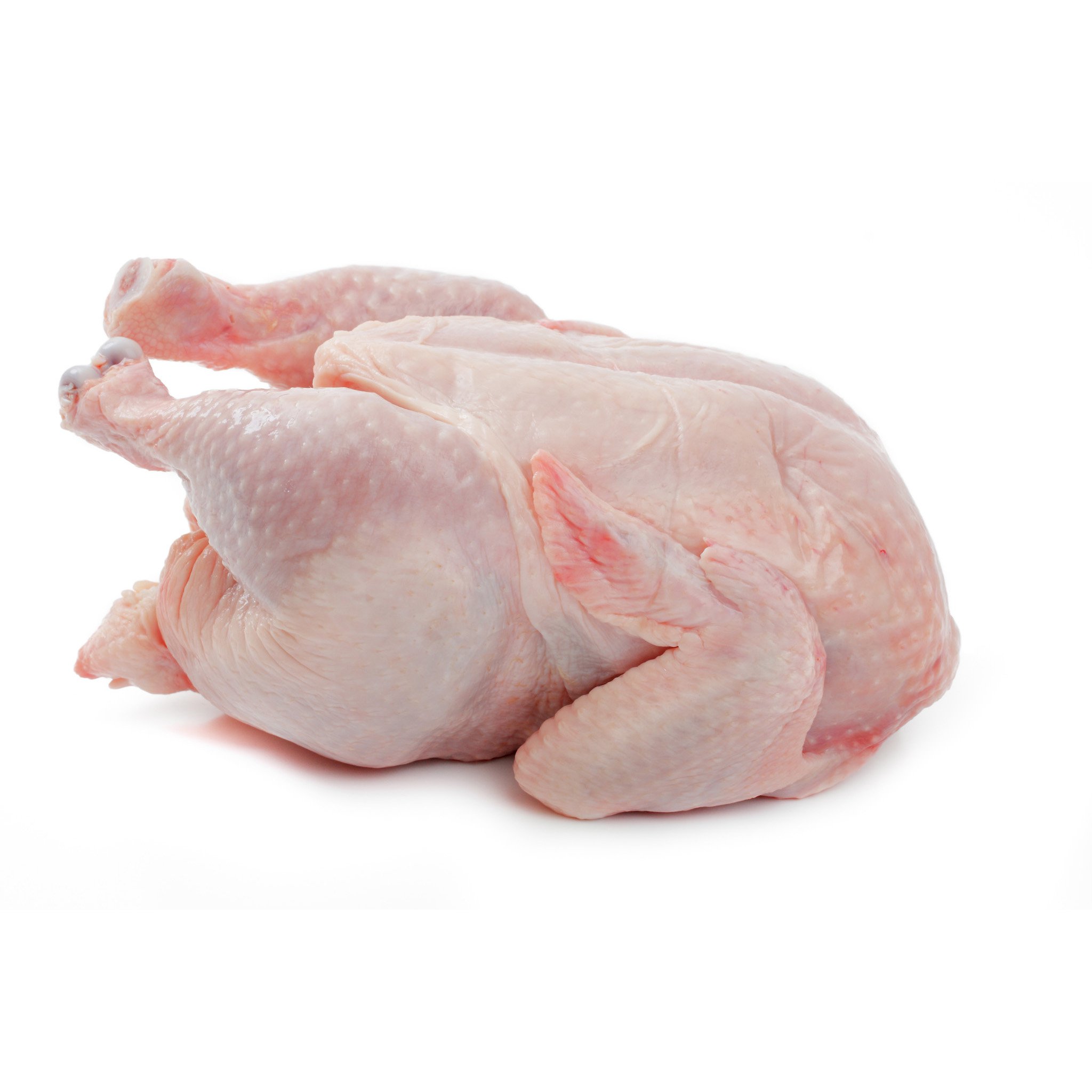 Poulet HALAL biologique de poulet glacé, ailes 20 pièces, meilleure vente