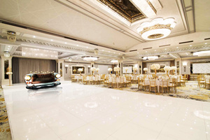 Canapé-lit pliant Vintage, décoration de luxe, en forme de voiture, pour salon, Bar, Restaurant, hôtel - Product Image 5