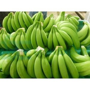Exportadores de banana Cavendish verde fresca orgánica en Tamil Nadu - Product Image 5