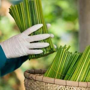 Paille d'herbe calmant 100% biologique, livraison gratuite, pailles à boire, écologiques naturels, biodégradables, MS.KATIE + 84795877933 - Product Image 1