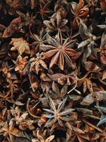 Hoge Kwaliteit 100% Vietnamese Lente Herfst Steranijs Rauw Gedroogd ISO 22000:2018 Gecertificeerd Agrikim Merk Gratis Monster