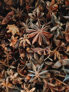 Anís estrella de primavera y otoño de alta calidad de Vietnam Proceso crudo seco + 84 359318390 - Product Image 4