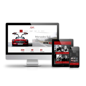 Flowless Bug Free Custom Website Design & Development Company in India | Award Winning Website Development Services by Webroot - Product Image 4