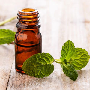 Aceite Esencial Puro de Menta y Árbol de Té para Hombres, OEM/ODM, Venta al Por Mayor, Fragancia Duradera - Product Image 1